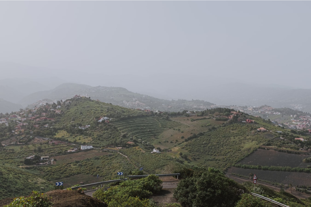 Calima en Tenerife. / Archivo