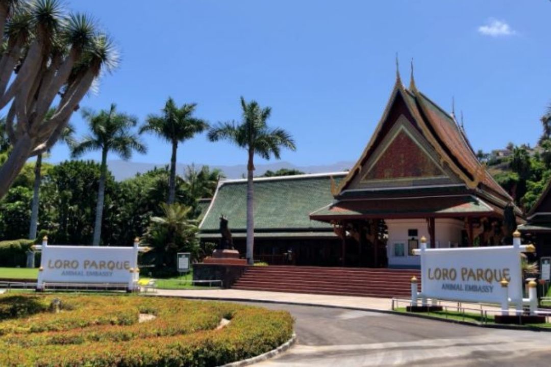 Imagen exterior del Loro Parque. / Europa Press 