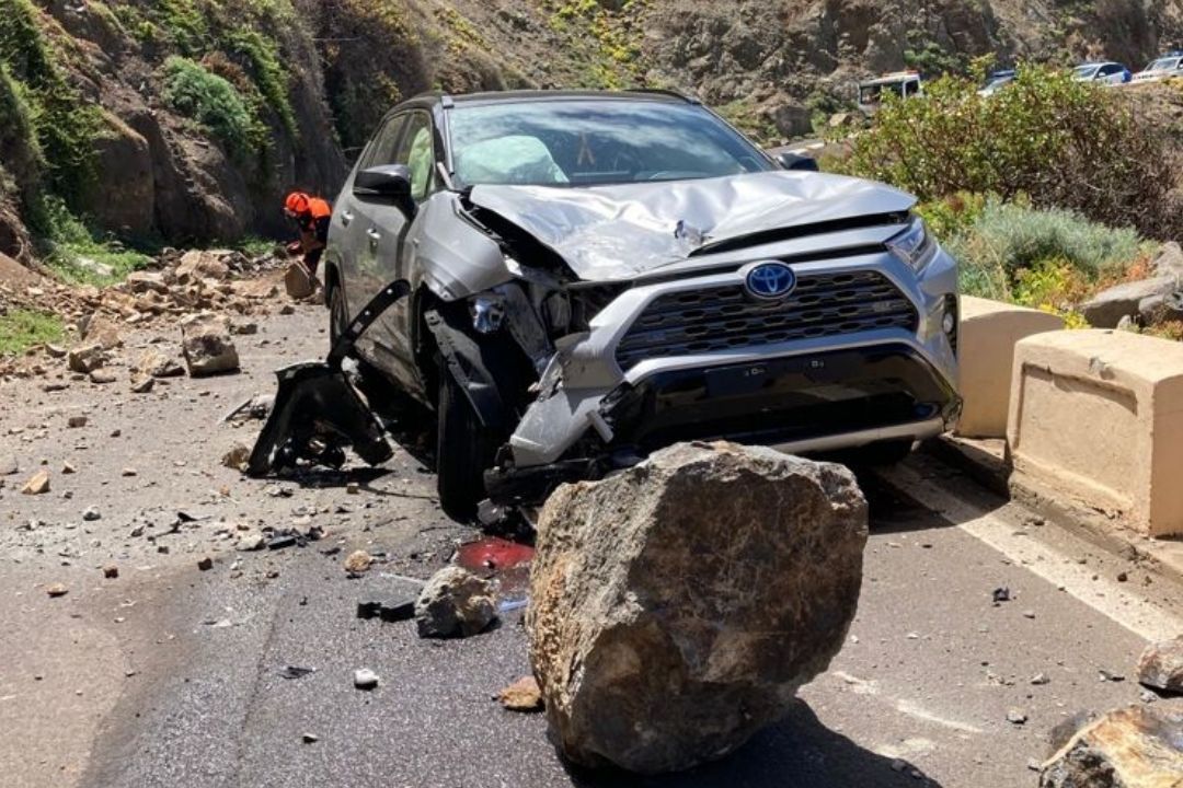 desprendimiento almaciga