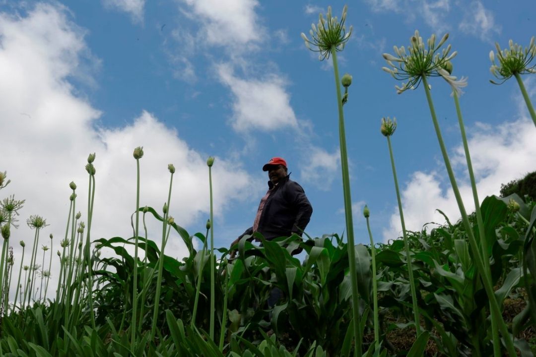 biodiversidad naturaleza efe
