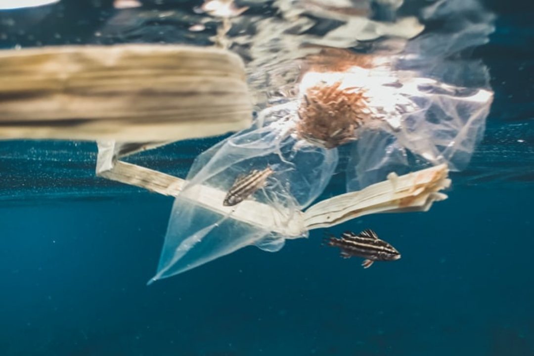 Imagen recurso de contaminación marina. AH