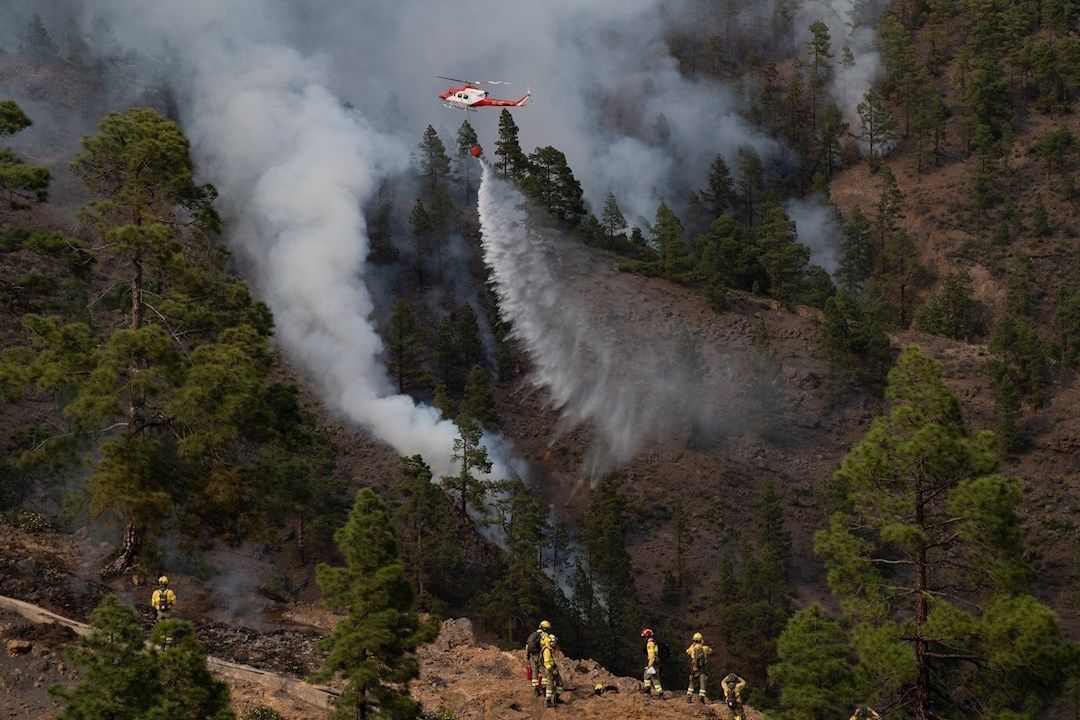 incendio forestal en Arico
