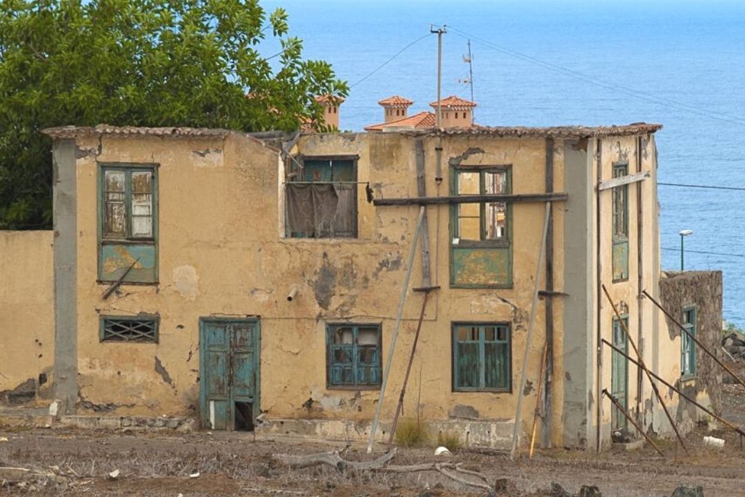 casa amarilla primates psicologia puerto de la cruz)