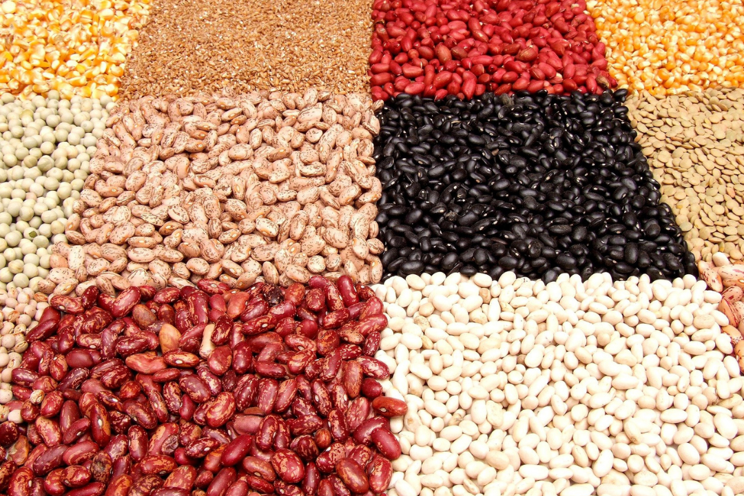 legumbres