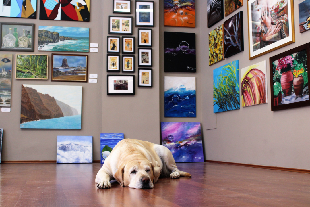 exposición en la guayaba