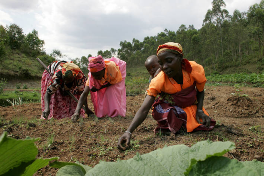 agricultura mujeres rafael lutzardo