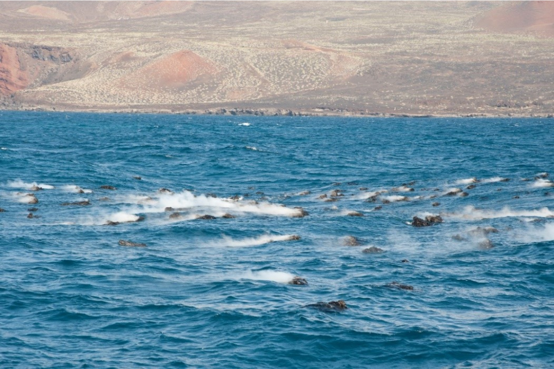 erupción el hierro MITMA