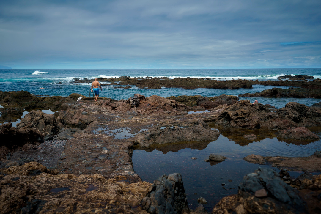 charco punta de hidalgo efe