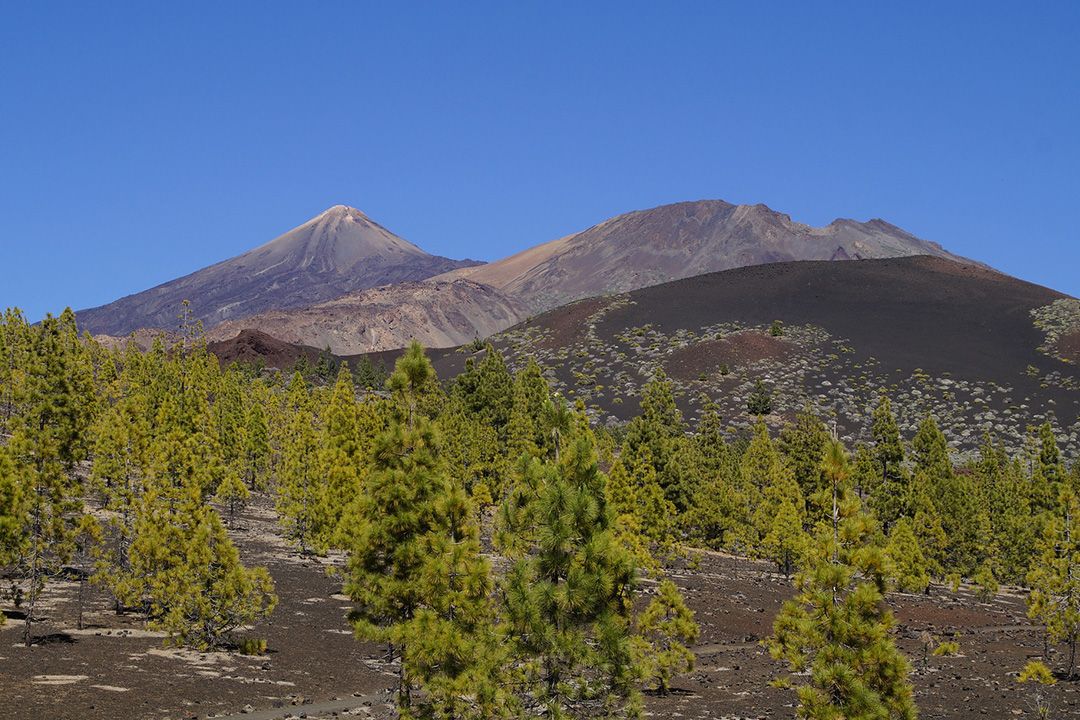 Parque Nacional del Teide. / Imagen de archivo