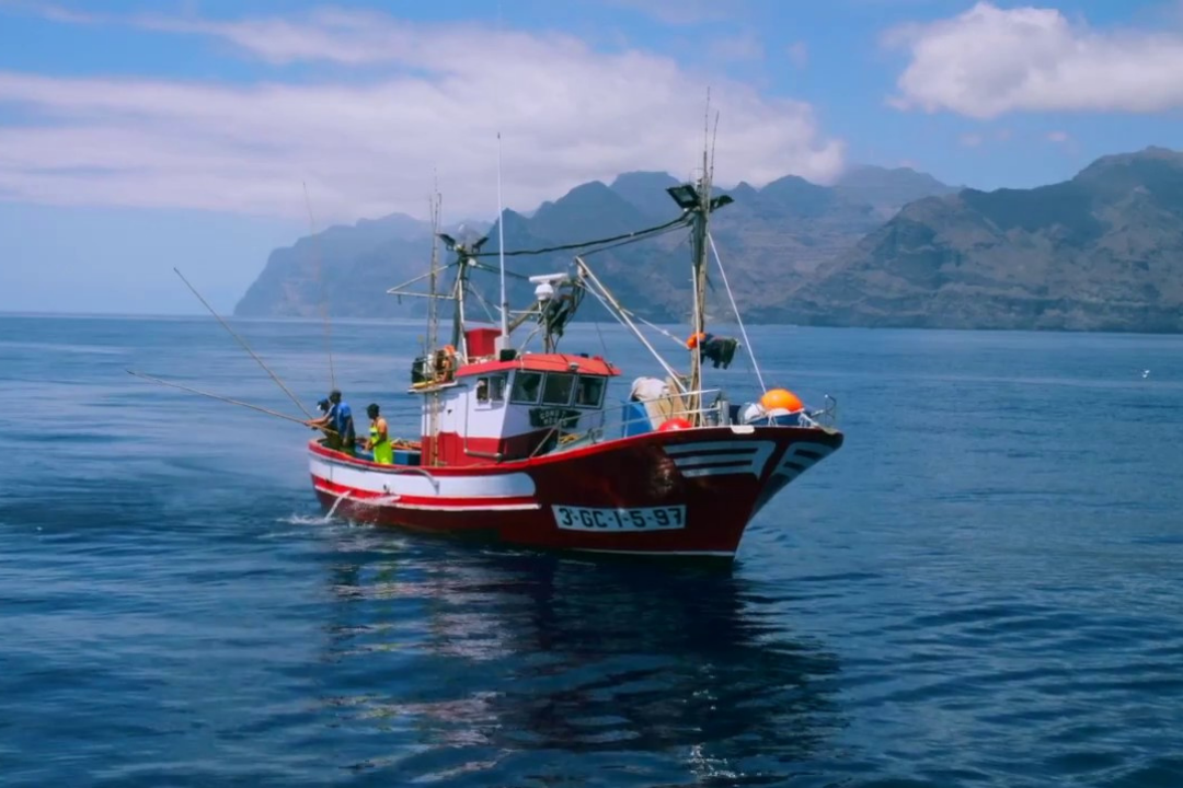 Barco de la flota canaria faenando frente a las costas de Tenerife. / YouTube