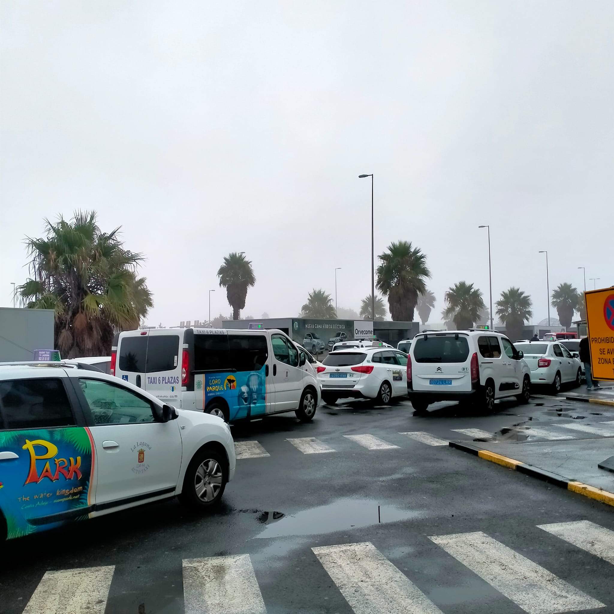 Taxis a la espera de realizar un servicio en el Aeropuerto Tenerife Norte. / AtlánticoHoy 