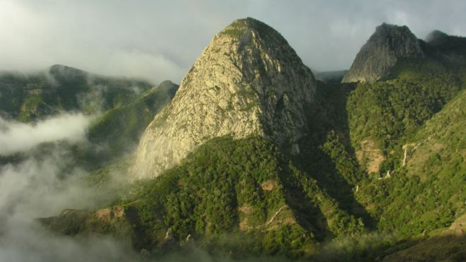 Parque Nacional de Garajonay, patrimonio mundial / Cedida