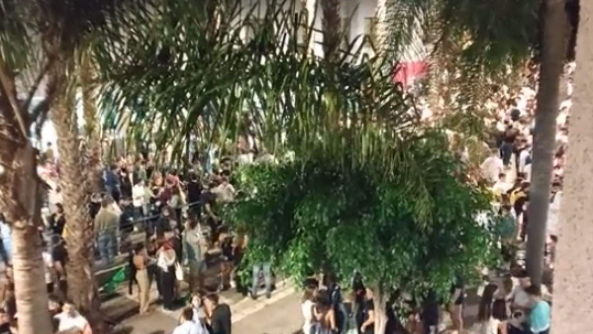 Muchos jóvenes en horario nocturno en el Cuadrilátero, La Laguna. / RTVC