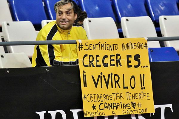 Afición CB Canarias, Liga endesa