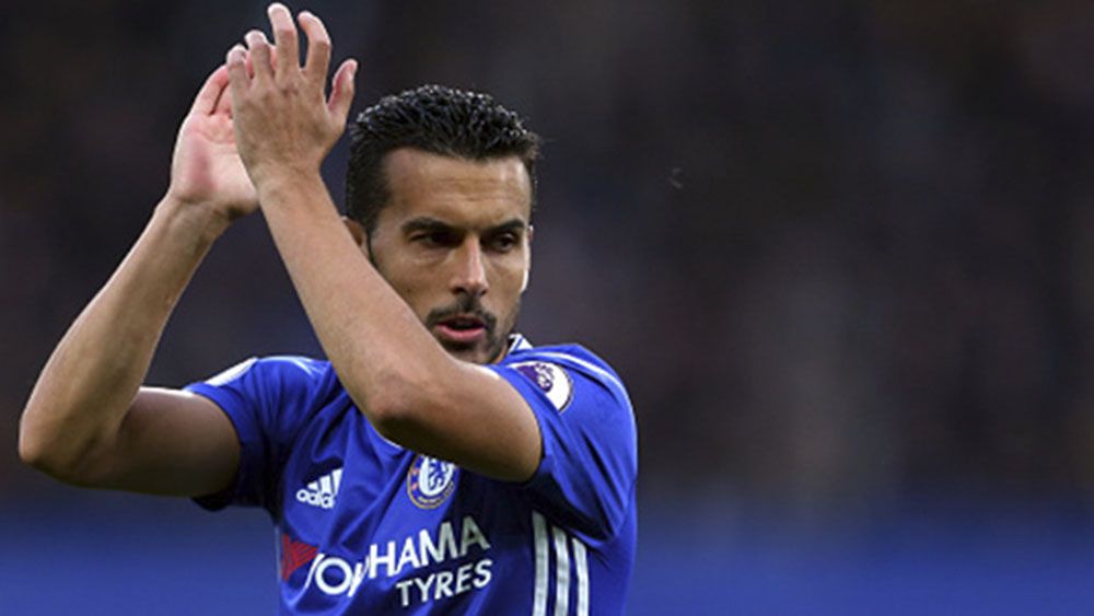 pedrito-chelsea