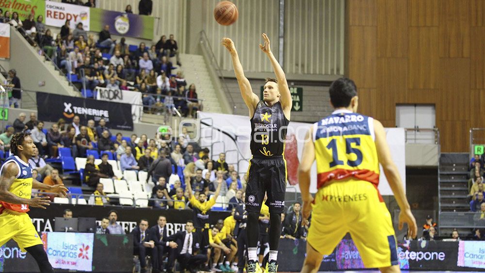 grigonis canarias