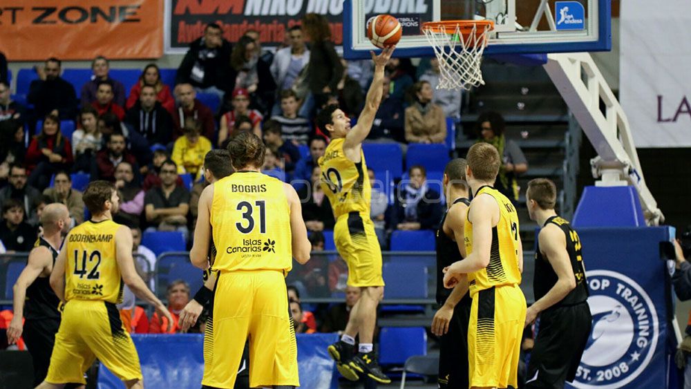 basketball champions league