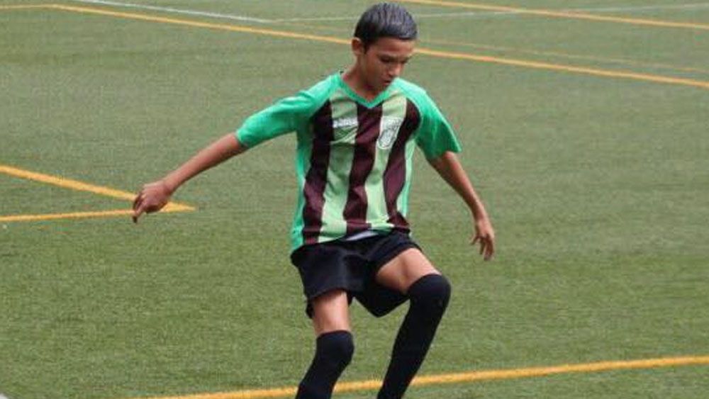 adonis, cardonal laguna