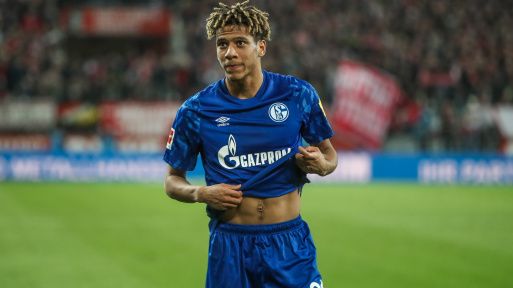 todibo