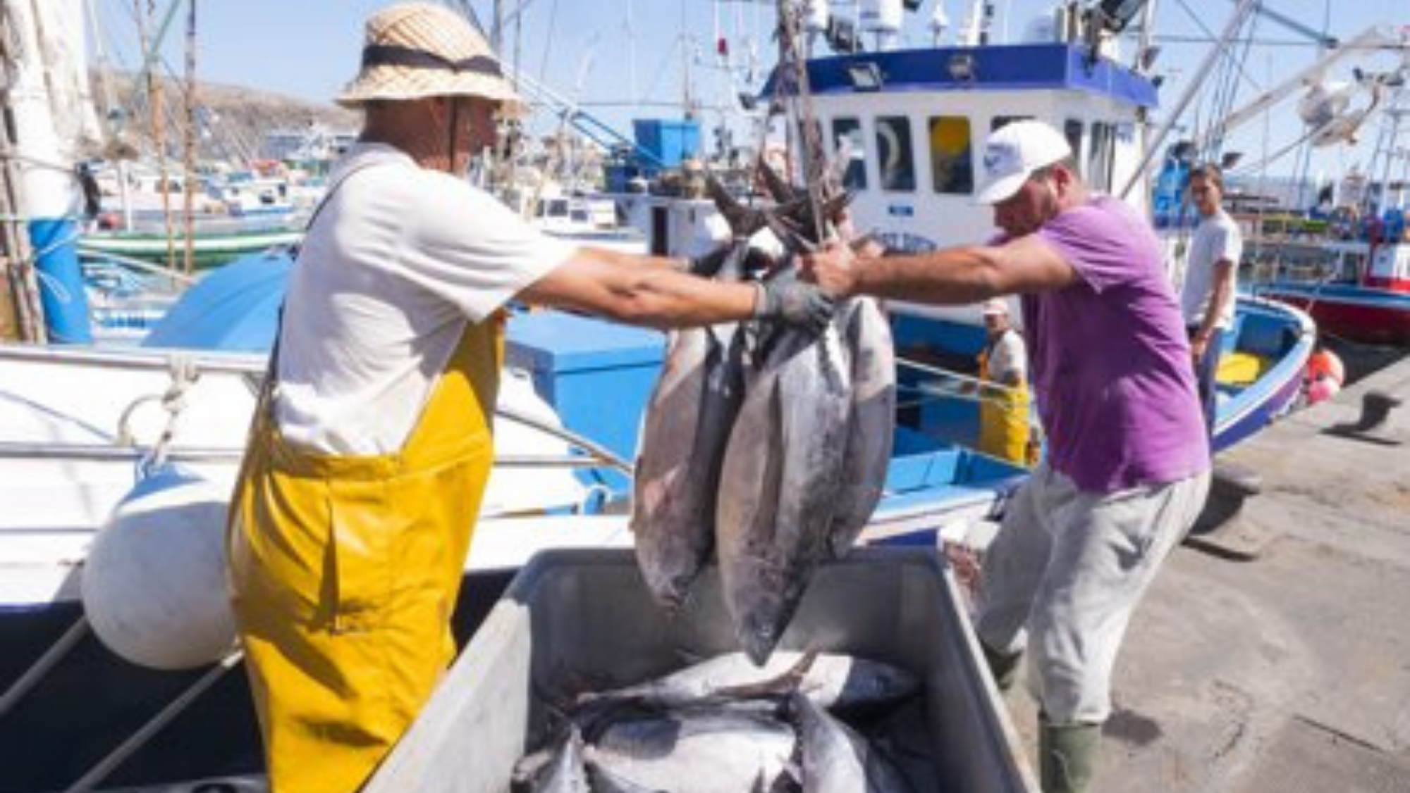 Pescadores en un muelle canario. / Gobierno de Canarias
