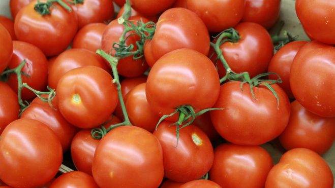Tomates de Canarias. / Pixabay Tomates de Canarias. / Pixabay