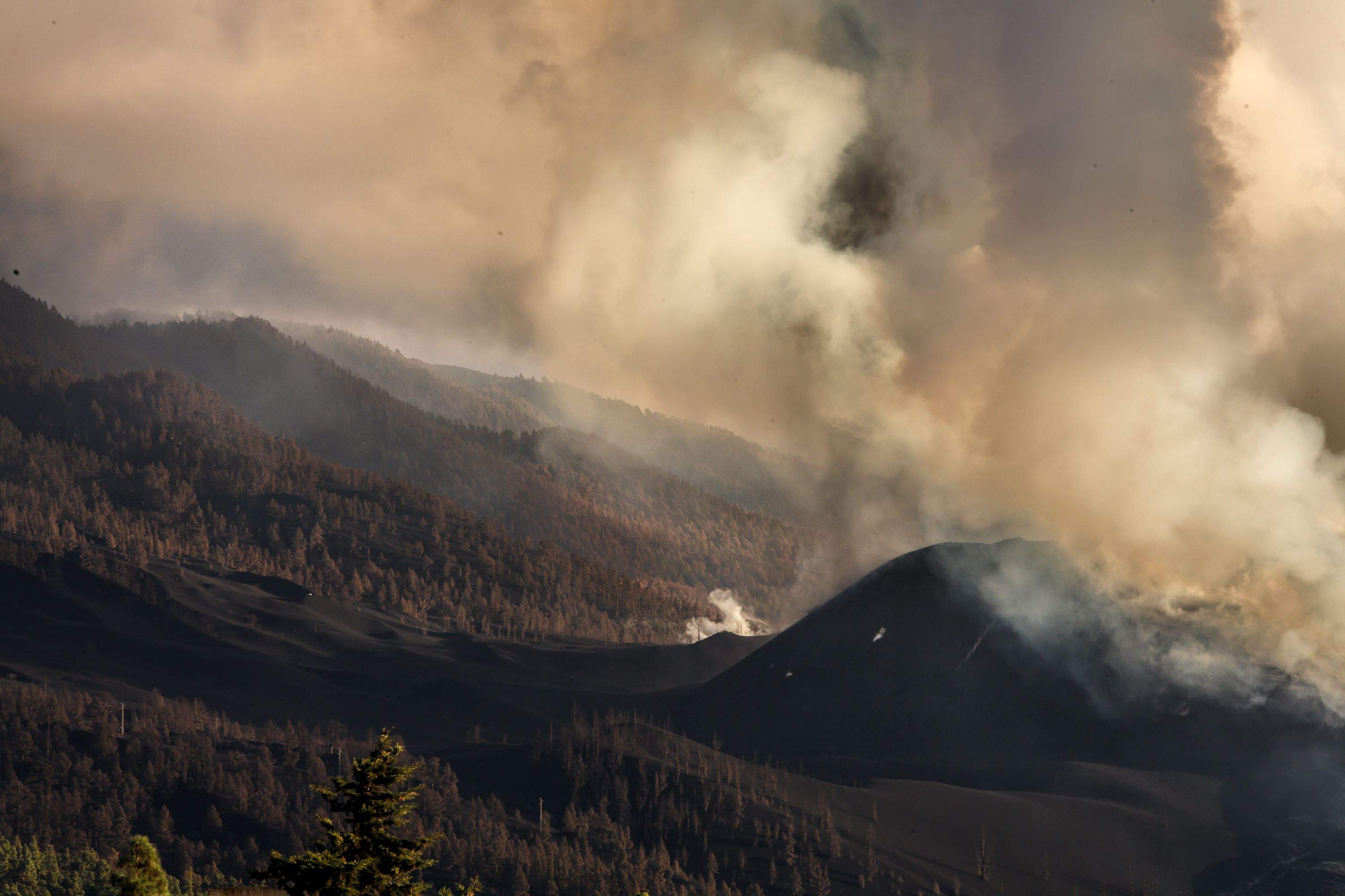 Erupción de La Palma. / Europa Press