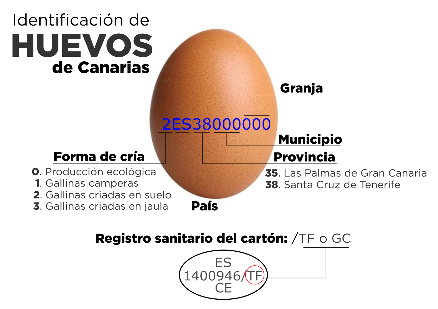 Imagen para conocer la trazabilidad de los huevos de Canarias. / Asaga