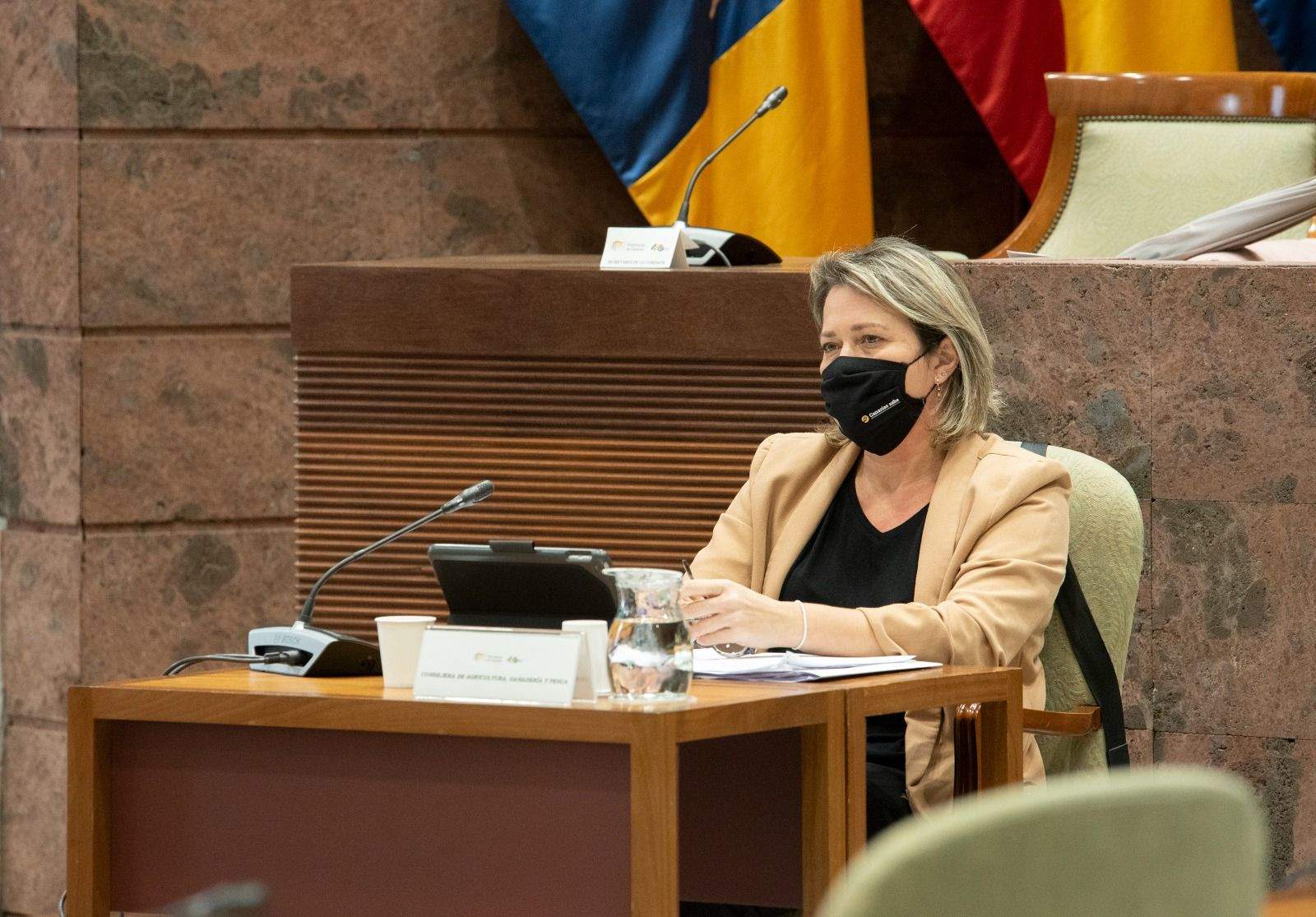Alicia Vanoostende, consejera de Agricultura, Ganadería y Pesca del Gobierno de Canarias. / Gobierno de Canarias 