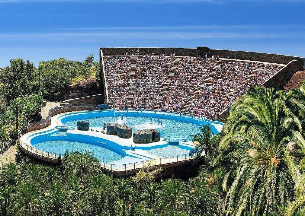 Delfinario de Palmitos Park, en Gran Canaria. / Palmitospark.es 