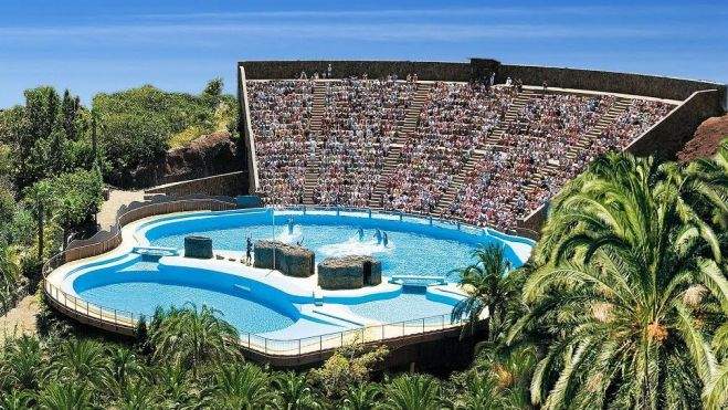 Delfinario de Palmitos Park, en Gran Canaria. / Palmitospark.es 