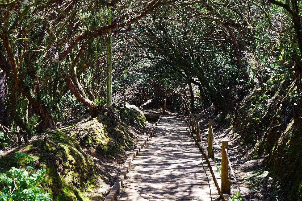 Sendero de la Isla de Tenerife, turismo activo. / Pixabay