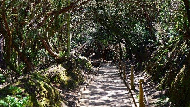 Sendero de la Isla de Tenerife, turismo activo. / Pixabay