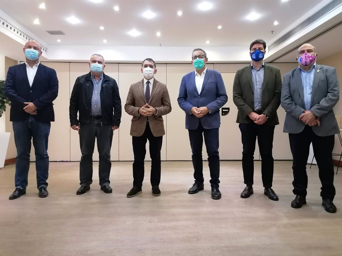 Los alcaldes de los municipios de San Miguel de Abona, El Rosario, Santiago del Teide, Arico, La Guancha y Santa Cruz. / Europa Press 