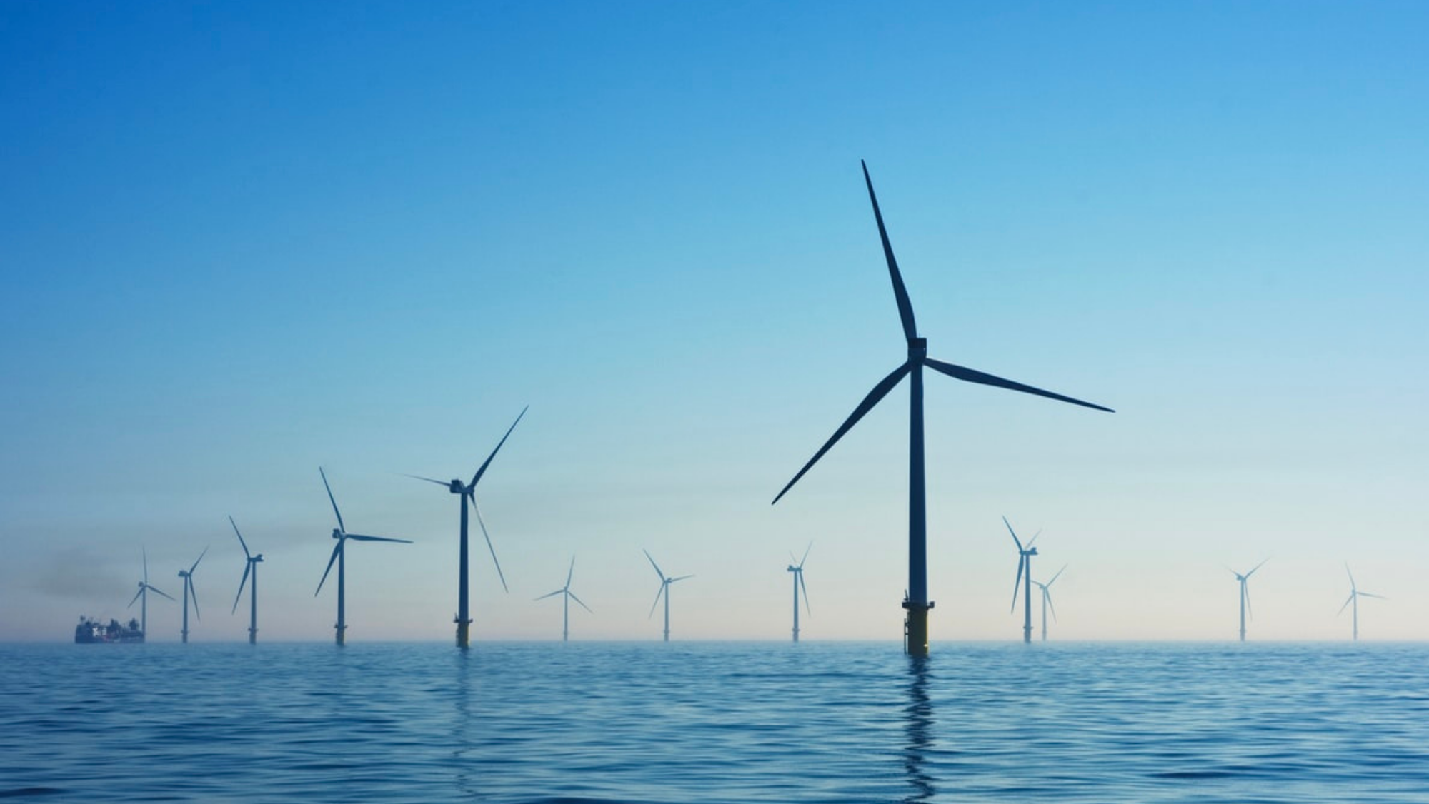 Energía eólica offshore. / Unsplash