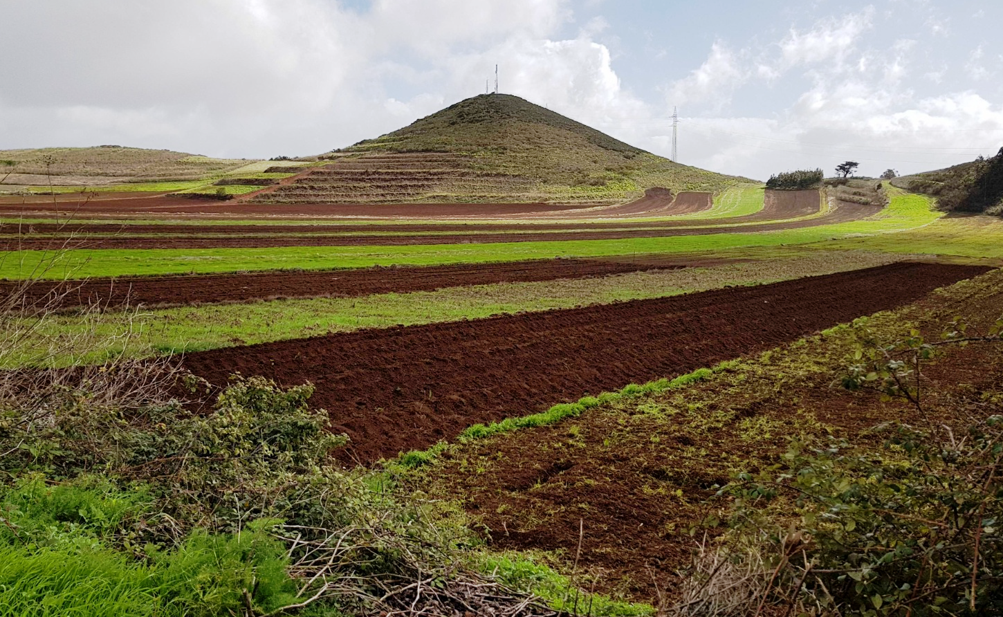 Montaña de Birmagen, en El Rosario, donde estaría ubicada la planta de compostaje./