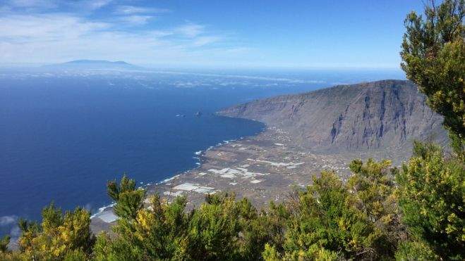 Muestra de la biodiversidad de Canarias./ Muestra de la biodiversidad de Canarias./