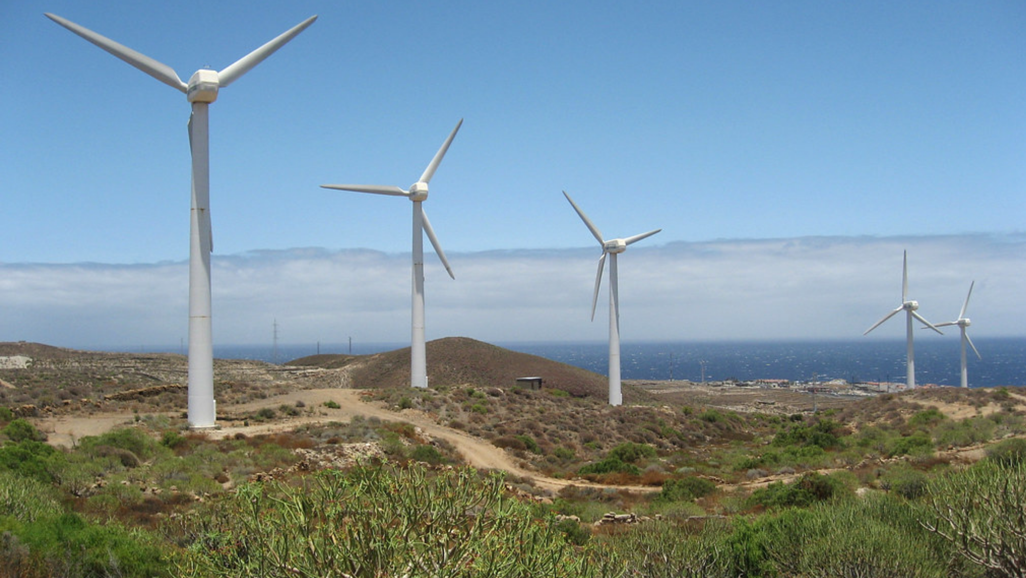 Aerogeneradores en Arico. / Flickr (José Mesa)