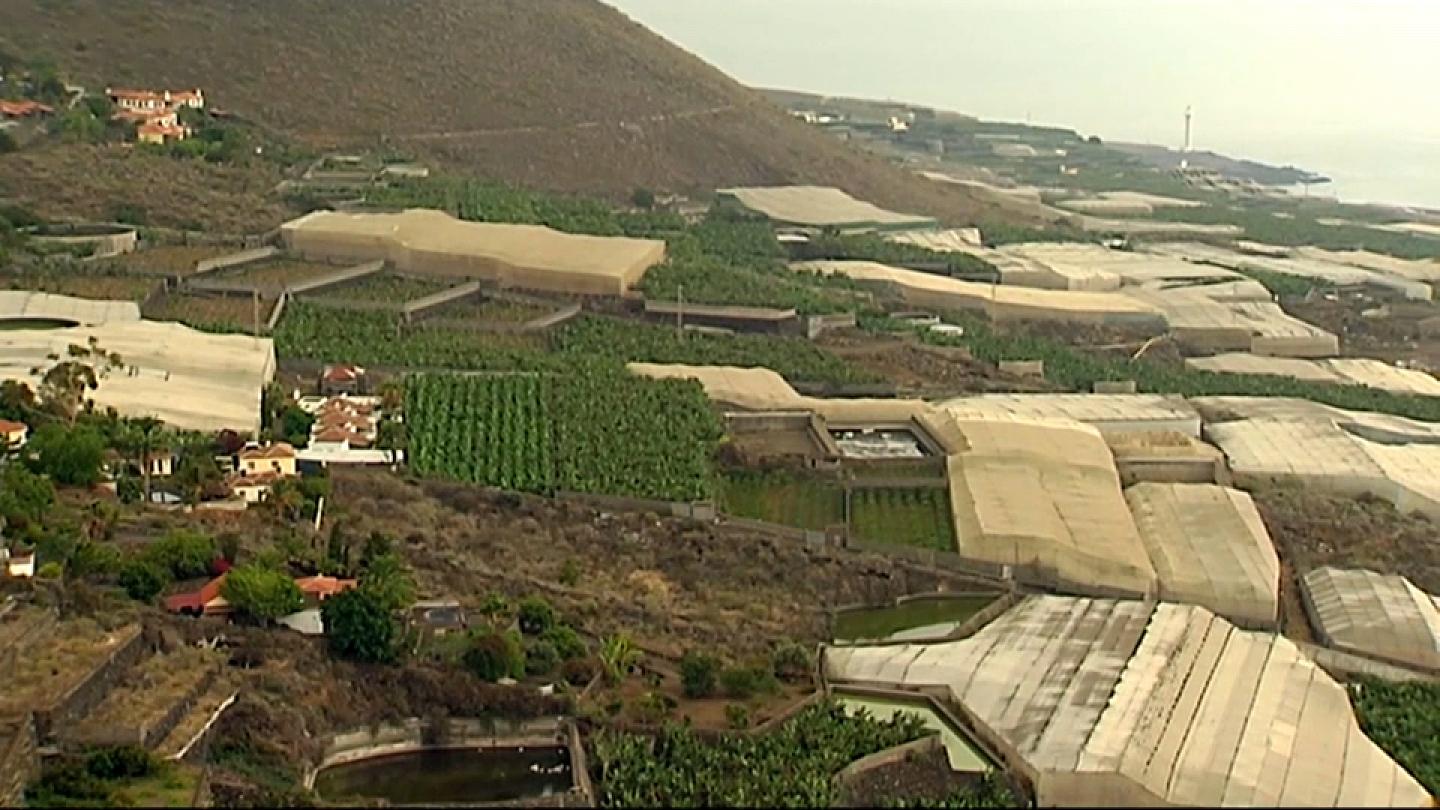 Invernaderos en La Palma. / RTVE