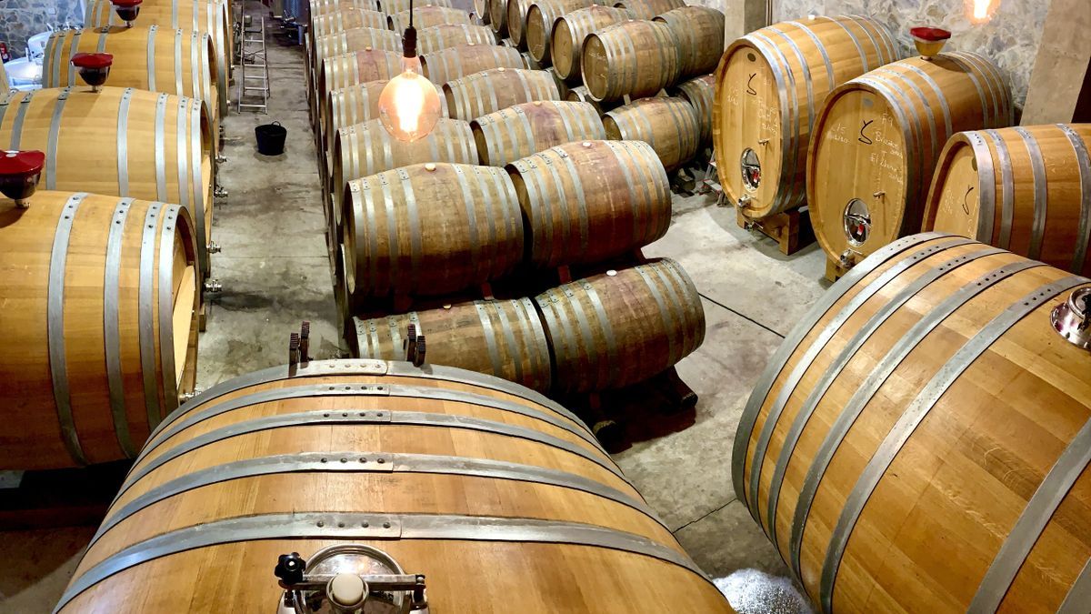 Estos son los 10 mejores vinos de Gran Canaria / Europa Press 