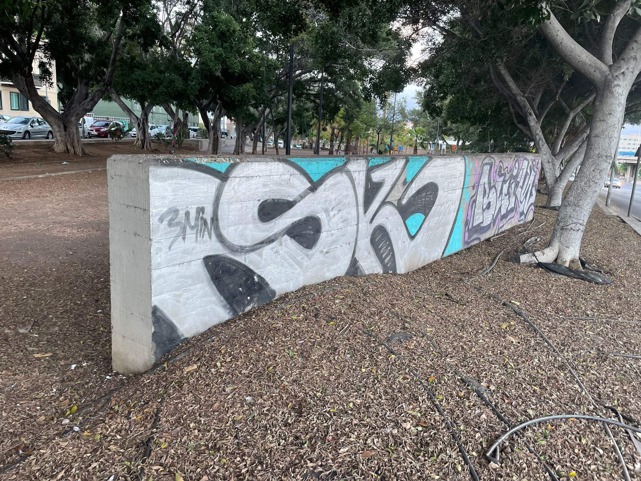 Grafiti en Santa Cruz./