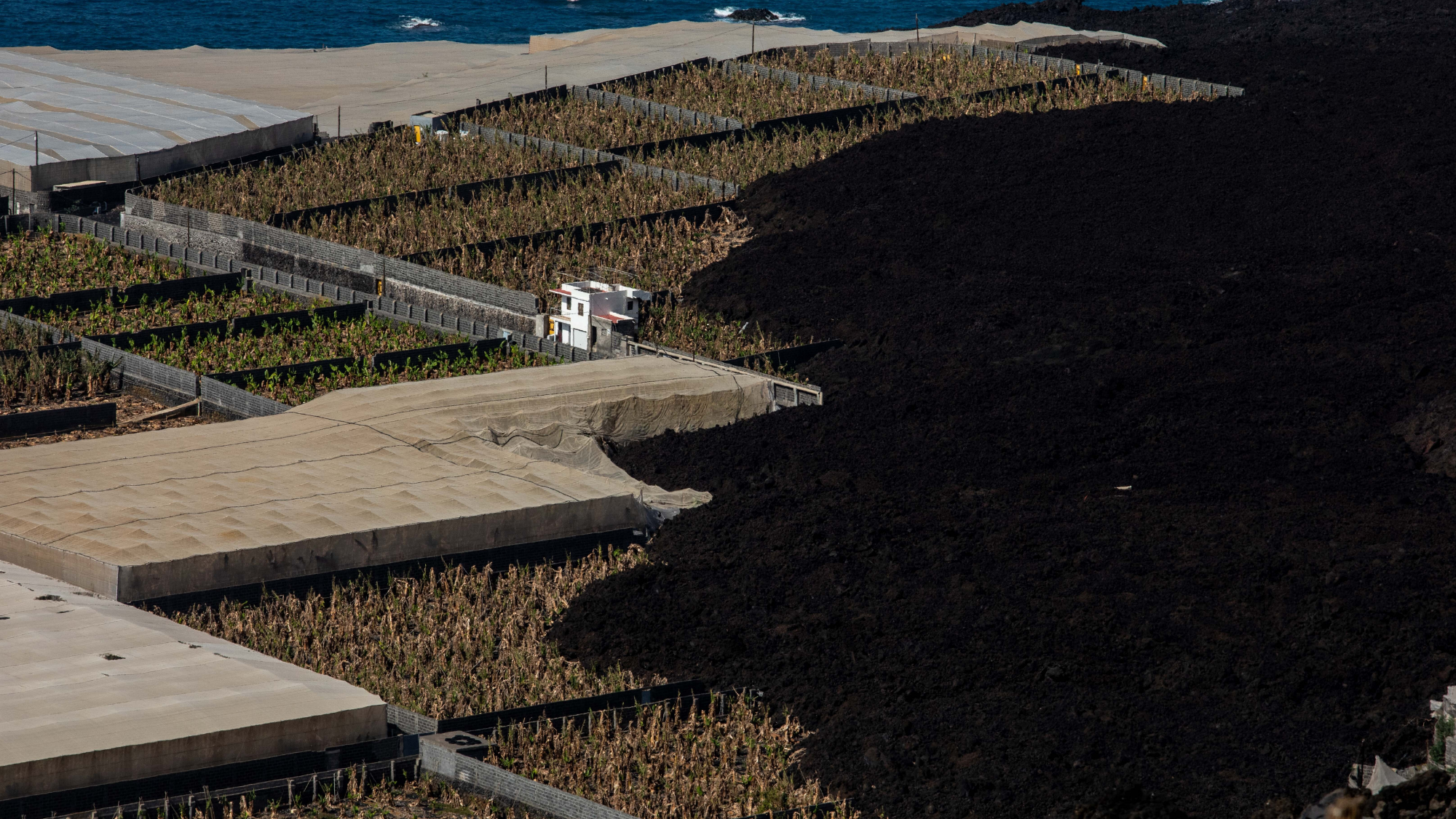 Cultivos de La Palma afectados por el volcán. / EUROPA PRESS