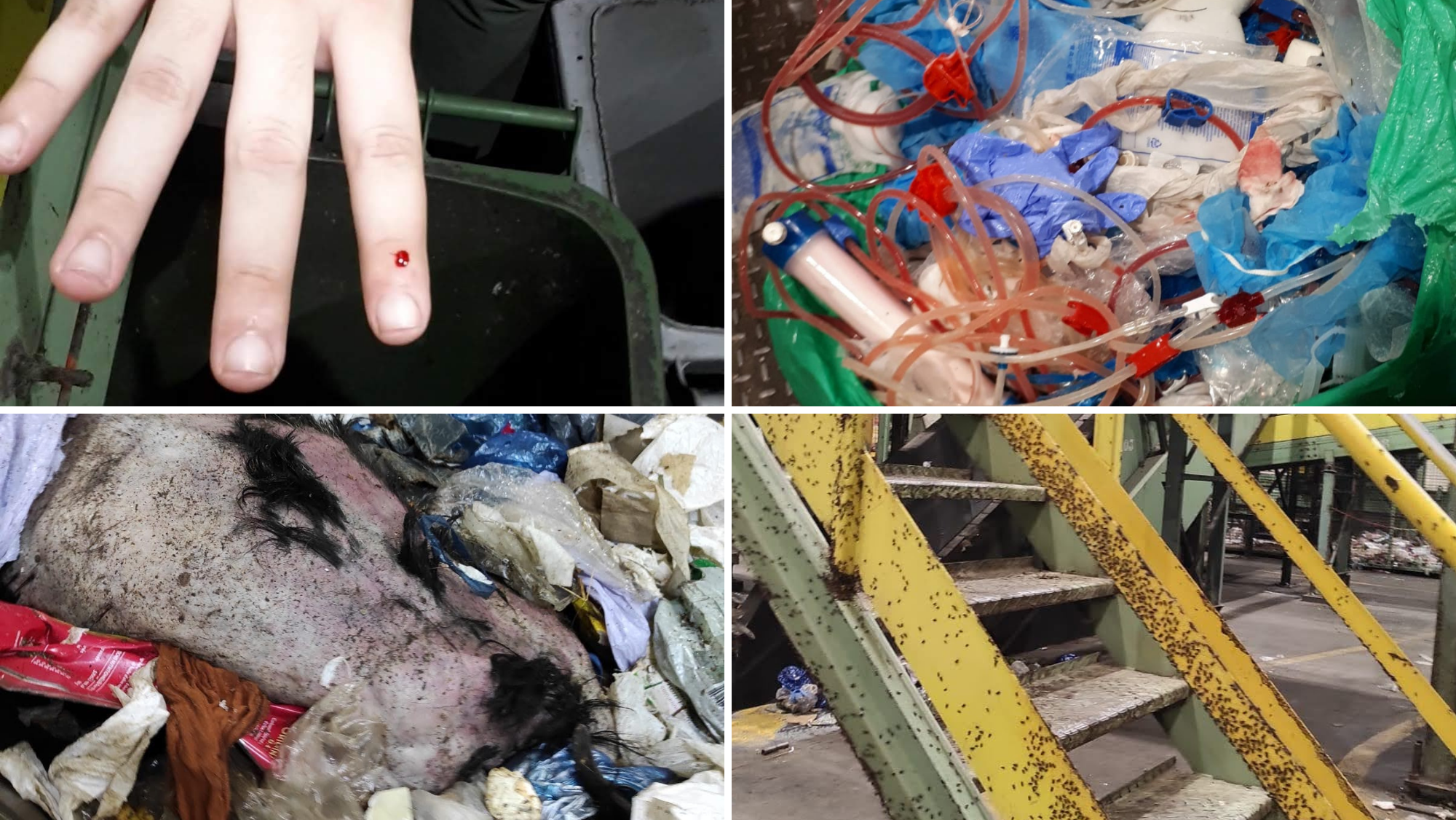 Imágenes que reflejan el día a día al que se enfrentan los trabajadores de la empresa Ecatar en el Complejo Medioambiental de Tenerife. / Cedidas