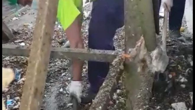 WhatsApp Image 2022 02 09 at 18.31.41(1) WhatsApp Image 2022 02 09 at 18.31.41(1)