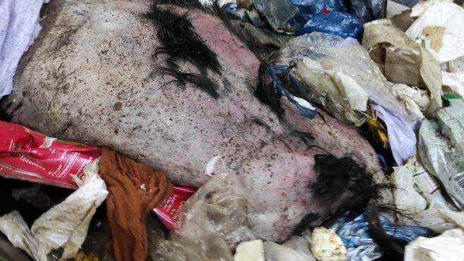 WhatsApp Image 2022 02 09 at 18.33.33 WhatsApp Image 2022 02 09 at 18.33.33