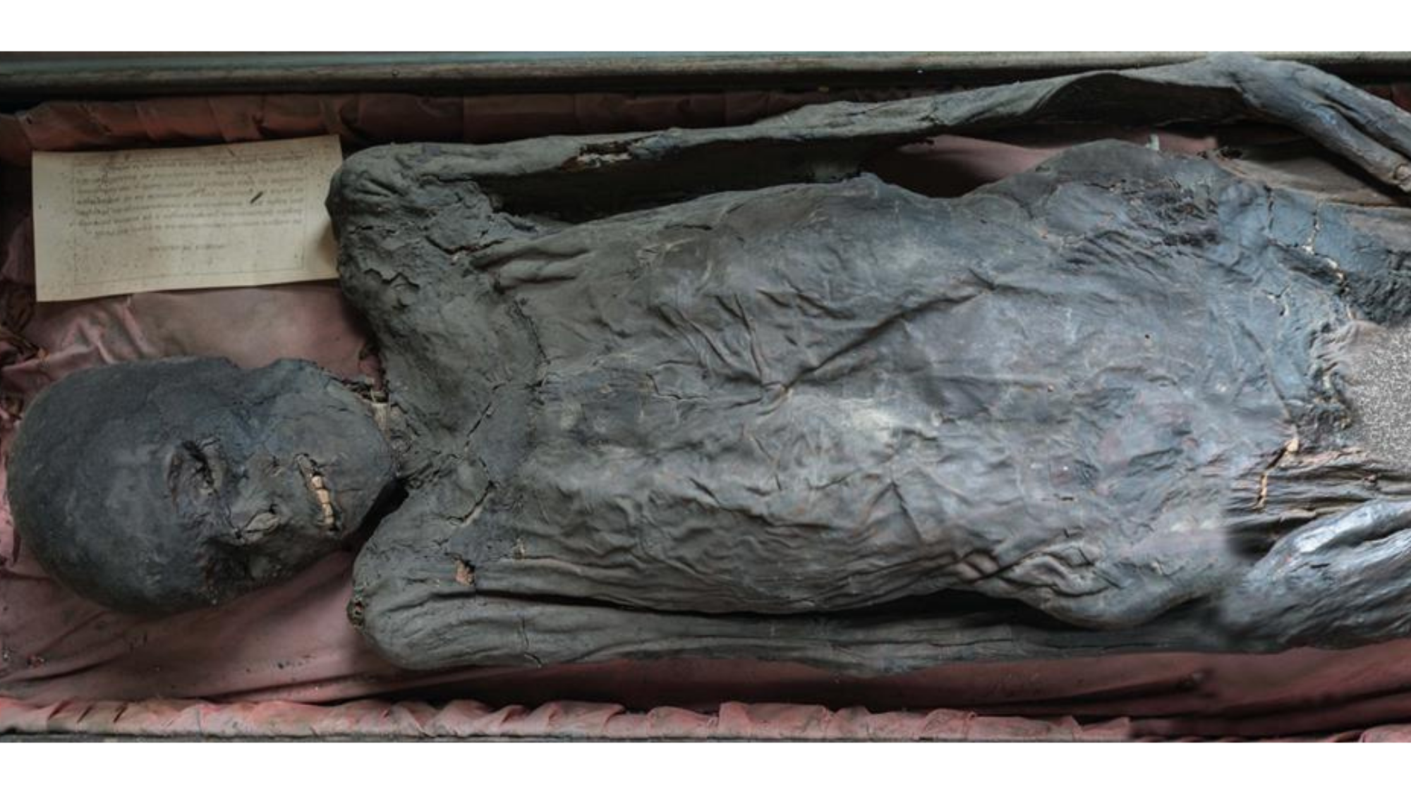 El cuerpo momificado de un varón guanche depositado en el Museo Montané de La Habana, donde se había catalogado como restos de un minero peruano precolombino /  EFE/Dolores Delgado