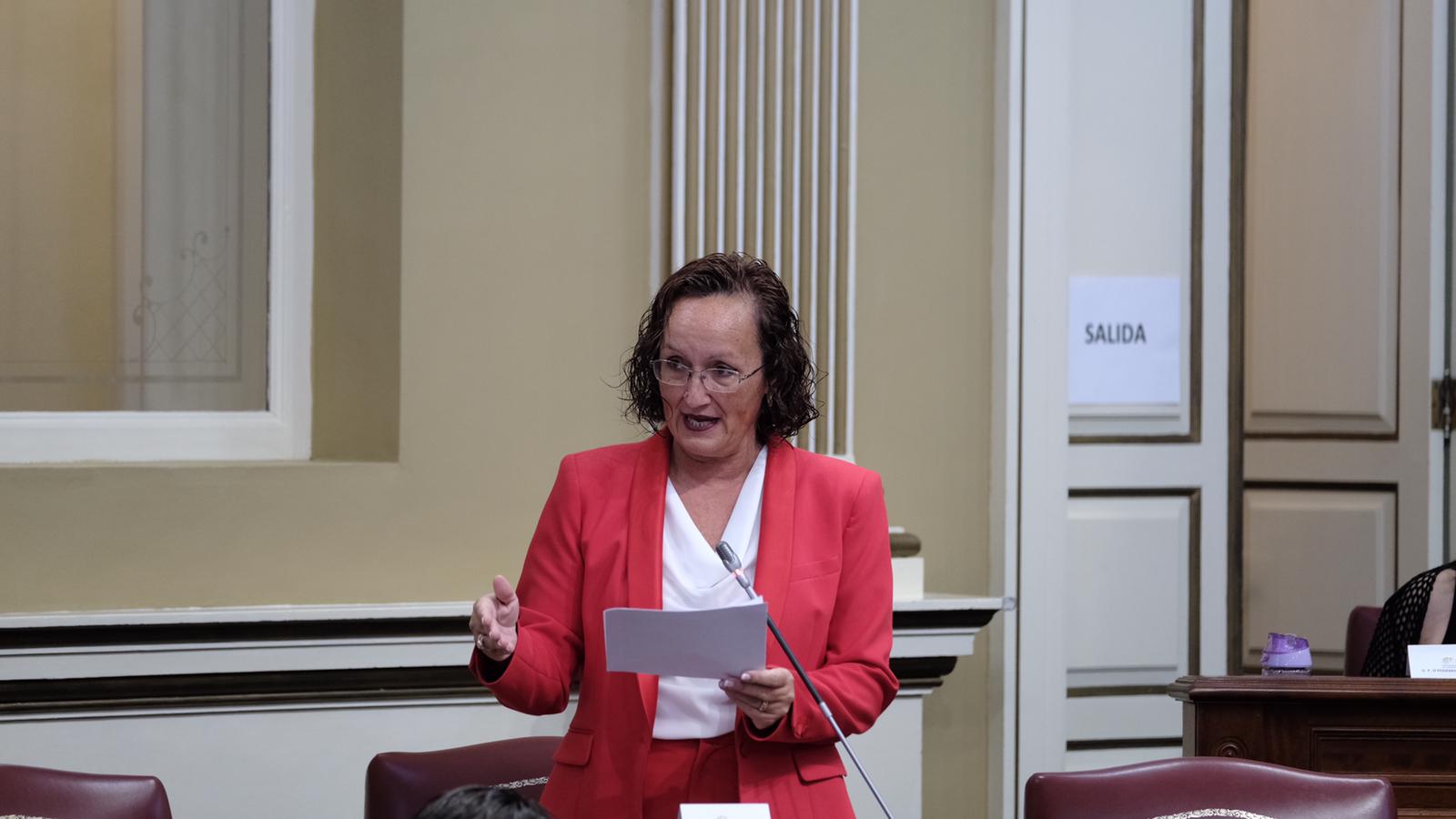 La diputada socialista en el Parlamento de Canarias, Pino González, pide penalizar el acoso a mujeres que acuden a abortar / Imagen del PSOE