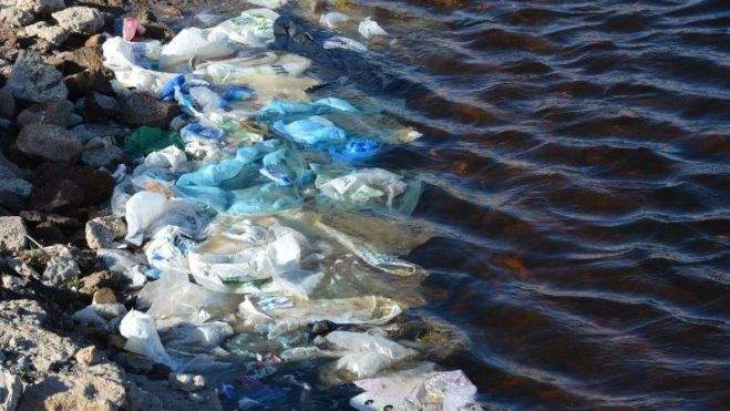 Plásticos en una charca de Arico próxima al vertedero. / Cedida Plásticos en una charca de Arico próxima al vertedero. / Cedida