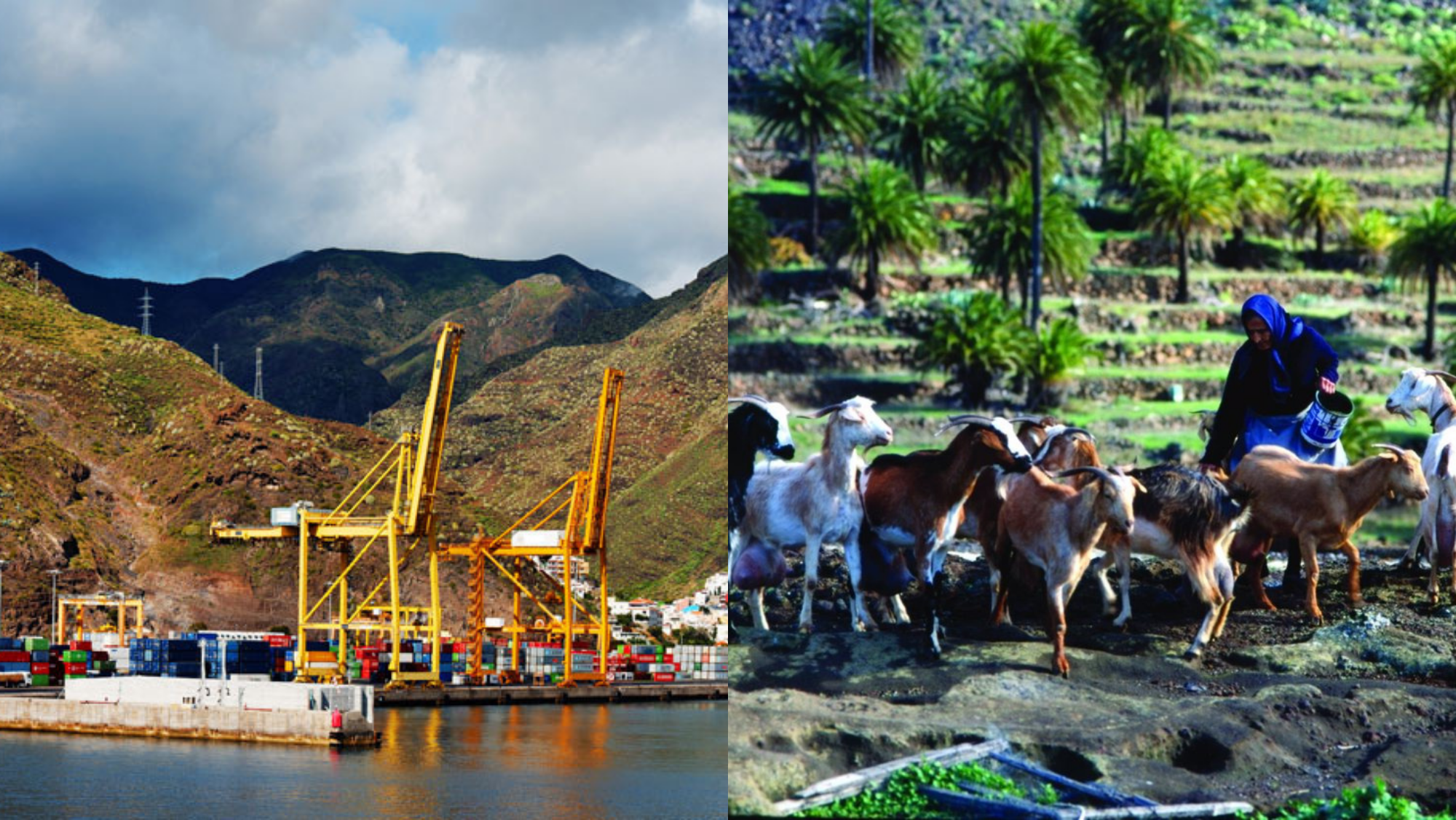 Sectores económicos de Canarias. / AH