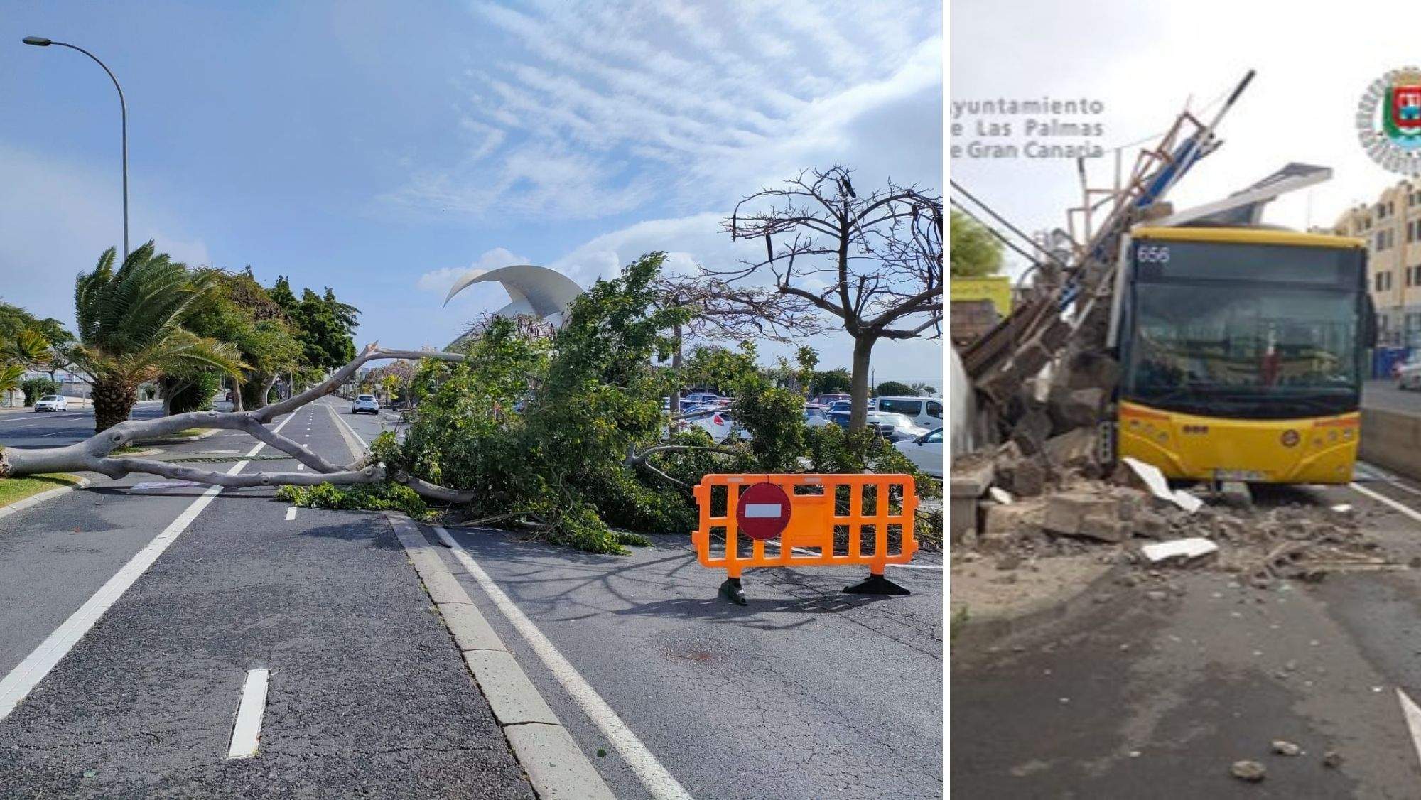 Árbol caído en el entorno del Auditorio de Tenerife y un muro caído sobre una guagua en Las Palmas de Gran Canaria. / AH
