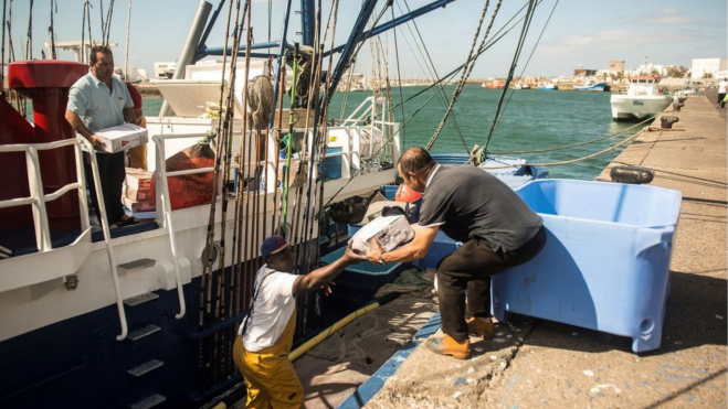 Foto de archivo de atuneros en el puerto de Naos en Arrecife (Lanzarote). / JAVIER FUENTES-EFE